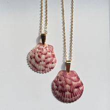 Load image into Gallery viewer, Dainty Gold Seashell Necklace
