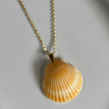 Load image into Gallery viewer, *Rare Finds* Dainty Gold Seashell Necklace
