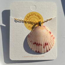 Load image into Gallery viewer, *Rare Finds* Dainty Gold Seashell Necklace
