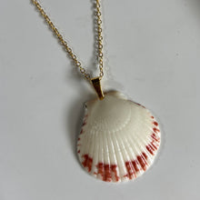 Load image into Gallery viewer, *Rare Finds* Dainty Gold Seashell Necklace
