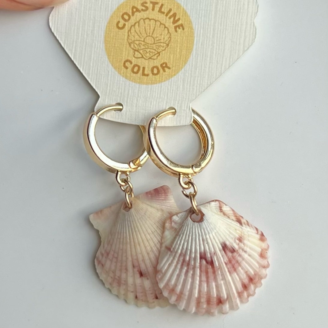 *Rare Finds* Seashell Earrings