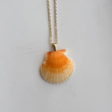 Load image into Gallery viewer, *Rare Finds* Dainty Gold Seashell Necklace
