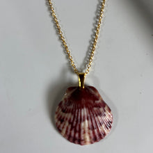 Load image into Gallery viewer, *Rare Finds* Dainty Gold Seashell Necklace

