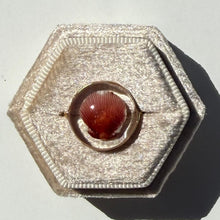 Load image into Gallery viewer, *Rare Finds* Treasure Seashell Rings
