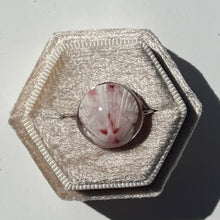 Load image into Gallery viewer, *Rare Finds* Treasure Seashell Rings

