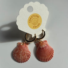 Load image into Gallery viewer, *Rare Finds* Tiny Seashell Earrings
