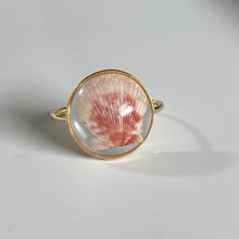 Load image into Gallery viewer, *Rare Finds* Treasure Seashell Rings
