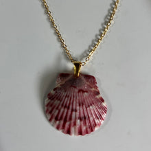Load image into Gallery viewer, *Rare Finds* Dainty Gold Seashell Necklace
