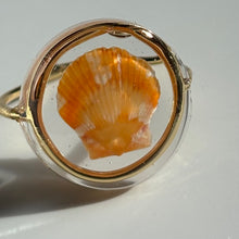 Load image into Gallery viewer, *Rare Finds* Treasure Seashell Rings
