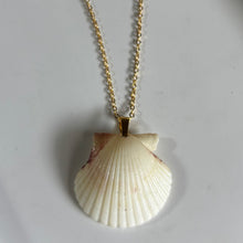 Load image into Gallery viewer, *Rare Finds* Dainty Gold Seashell Necklace

