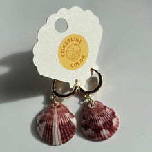 Load image into Gallery viewer, *Rare Finds* Tiny Seashell Earrings
