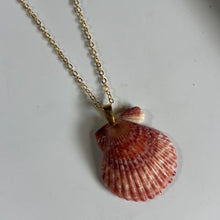 Load image into Gallery viewer, *Rare Finds* Dainty Gold Seashell Necklace
