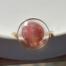 Load image into Gallery viewer, *Rare Finds* Treasure Seashell Rings
