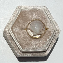 Load image into Gallery viewer, *Rare Finds* Treasure Seashell Rings
