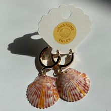 Load image into Gallery viewer, *Rare Finds* Seashell Earrings
