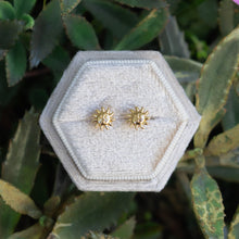 Load image into Gallery viewer, Island Sun Stud Earrings
