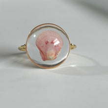Load image into Gallery viewer, *Rare Finds* Treasure Seashell Rings
