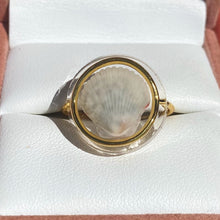 Load image into Gallery viewer, *Rare Finds* Gold Treasure Seashell Rings
