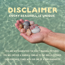 Load image into Gallery viewer, Seashell Charm Bracelet
