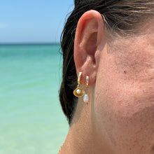 Load image into Gallery viewer, Clam Shell Earrings
