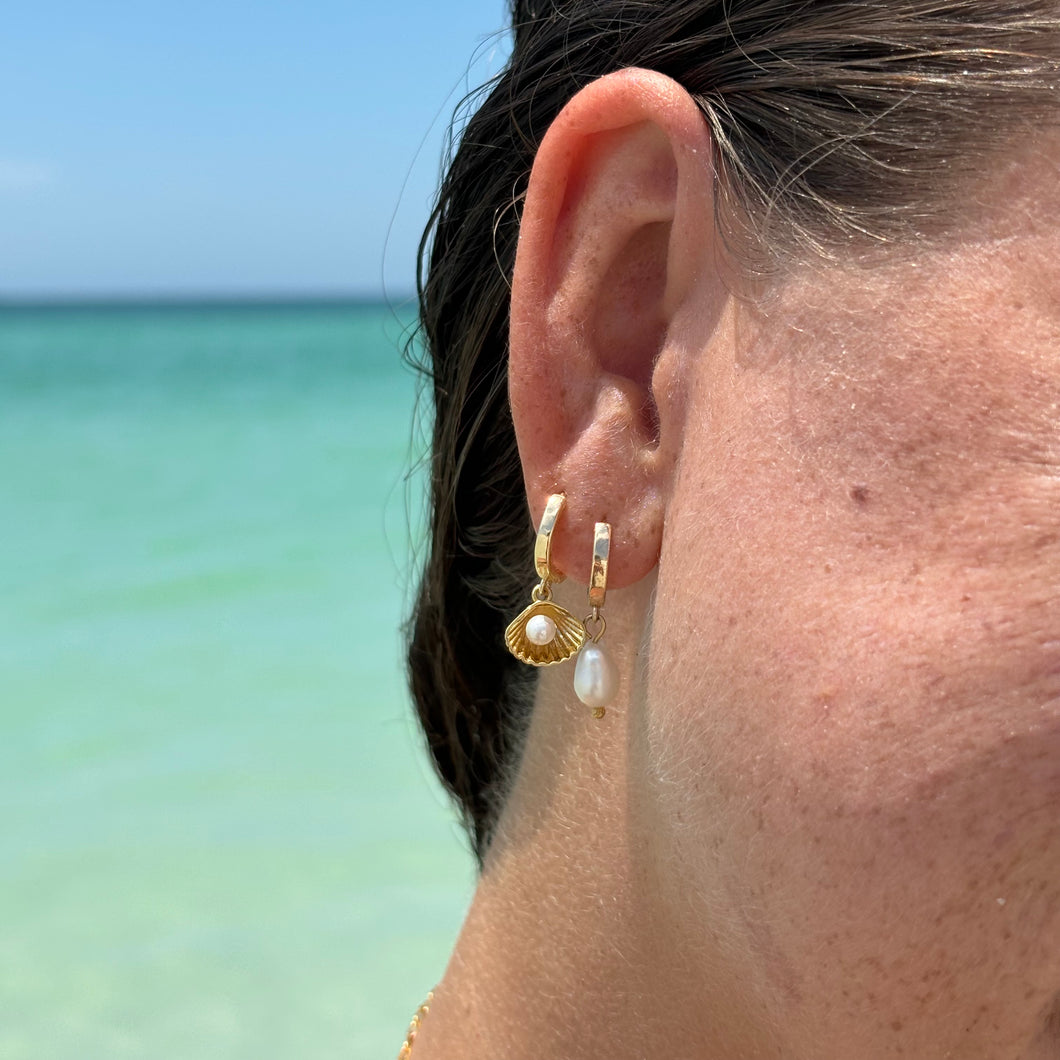 Clam Shell Earrings