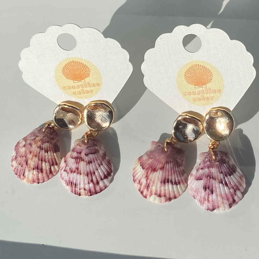 Gold Stud Seashell Earrings